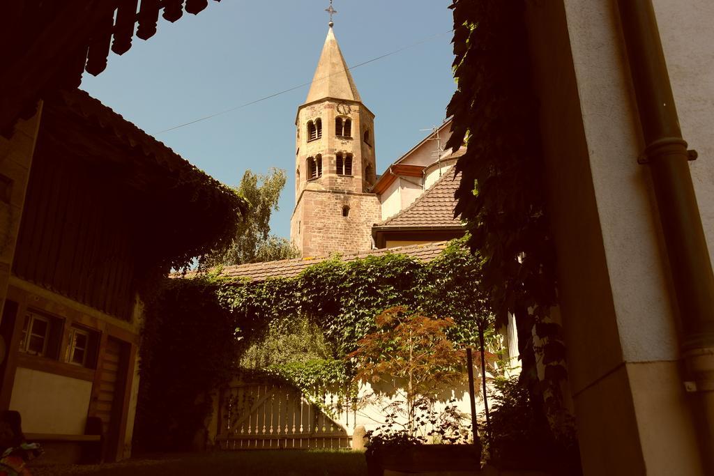 La Vieille Vigne Bed & Breakfast Gundolsheim المظهر الخارجي الصورة