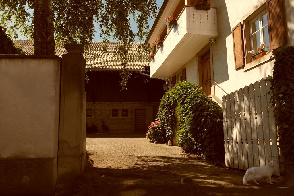 La Vieille Vigne Bed & Breakfast Gundolsheim المظهر الخارجي الصورة